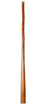 CrookedStixz Didgeridoo (AH415)